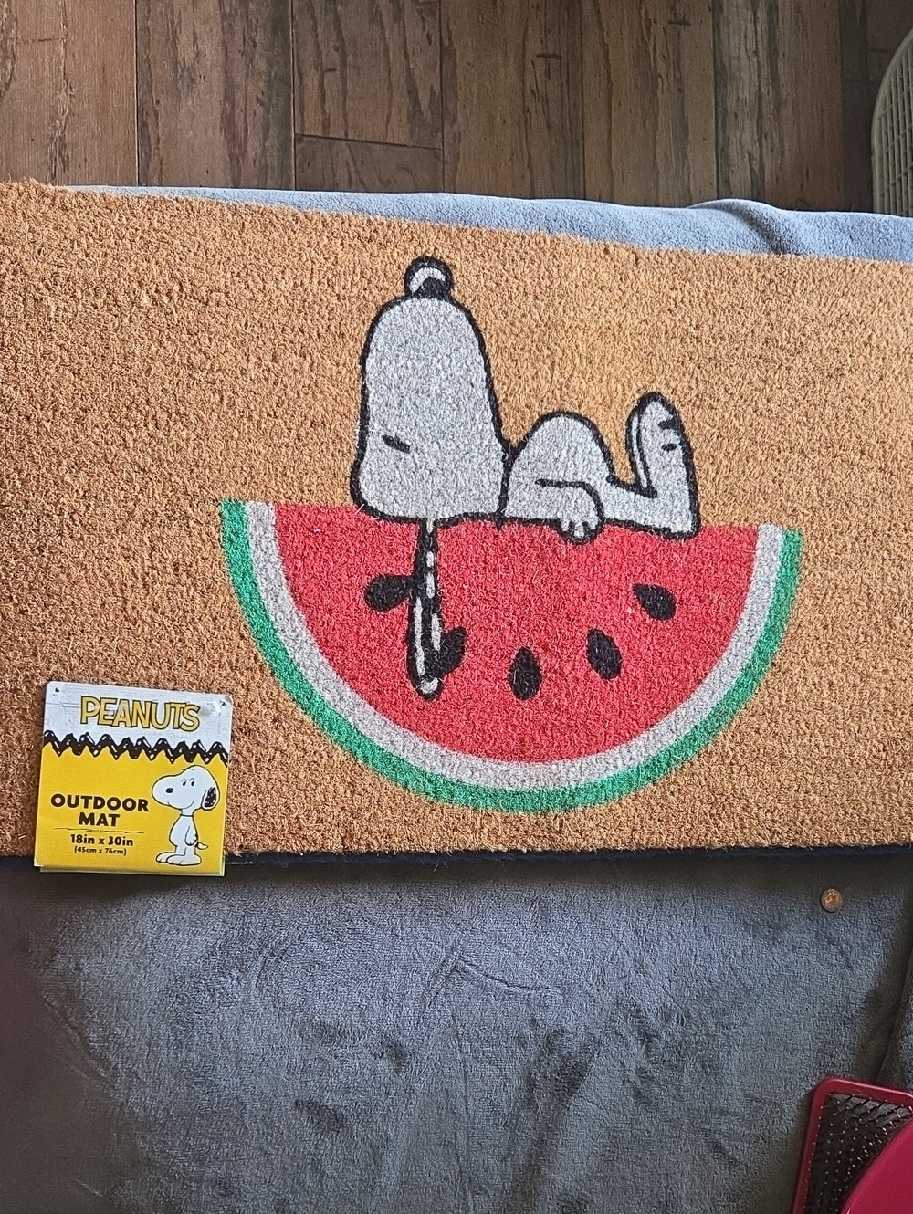 Peanuts Snoopy Watermelon Doormat - Tan, Red & Green